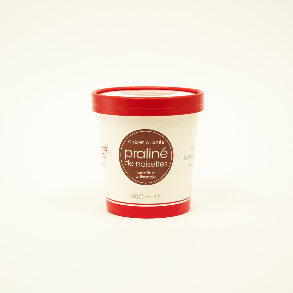 Pot 1/2 Glace Praliné Noisette