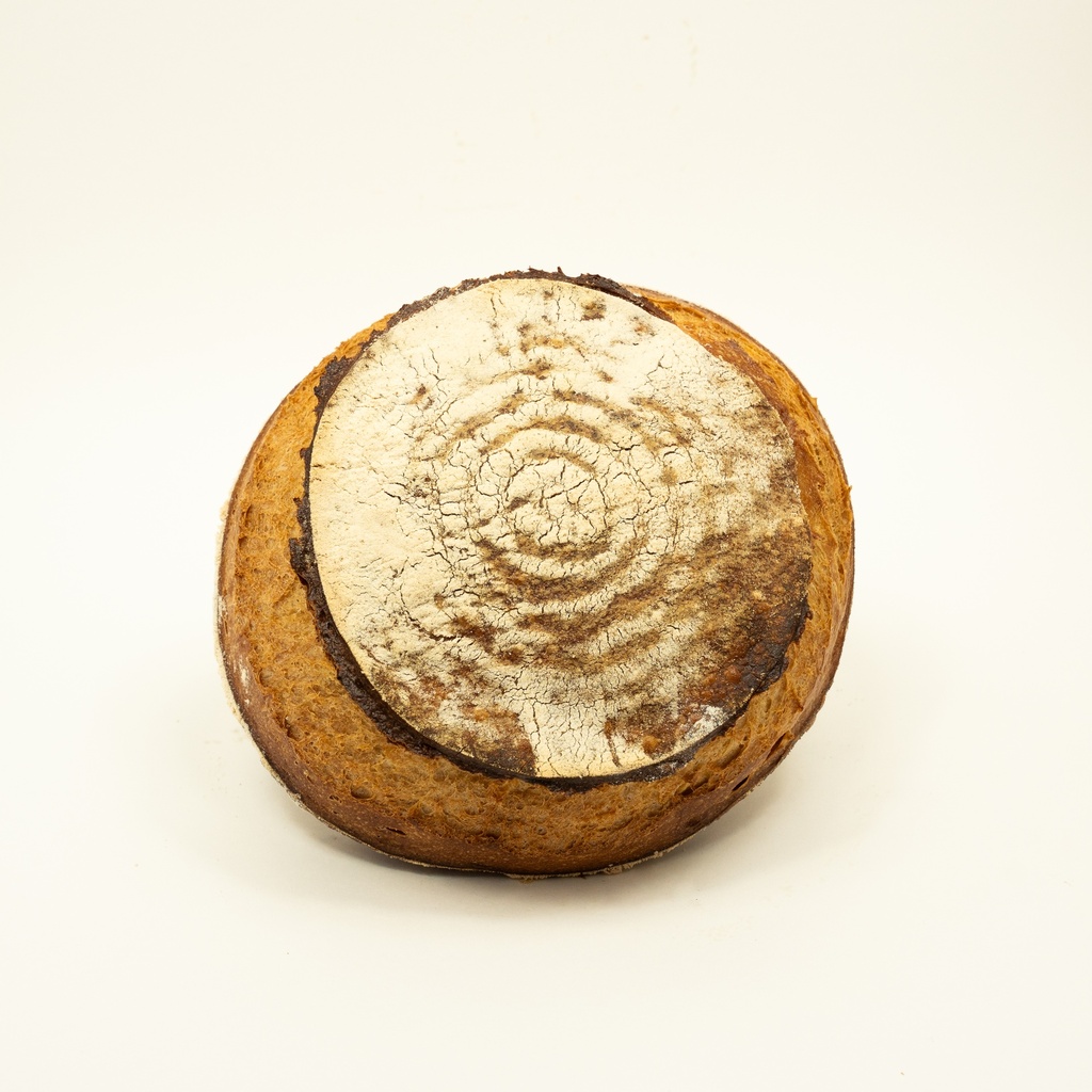 [PRE] Grand Epeautre Blanc