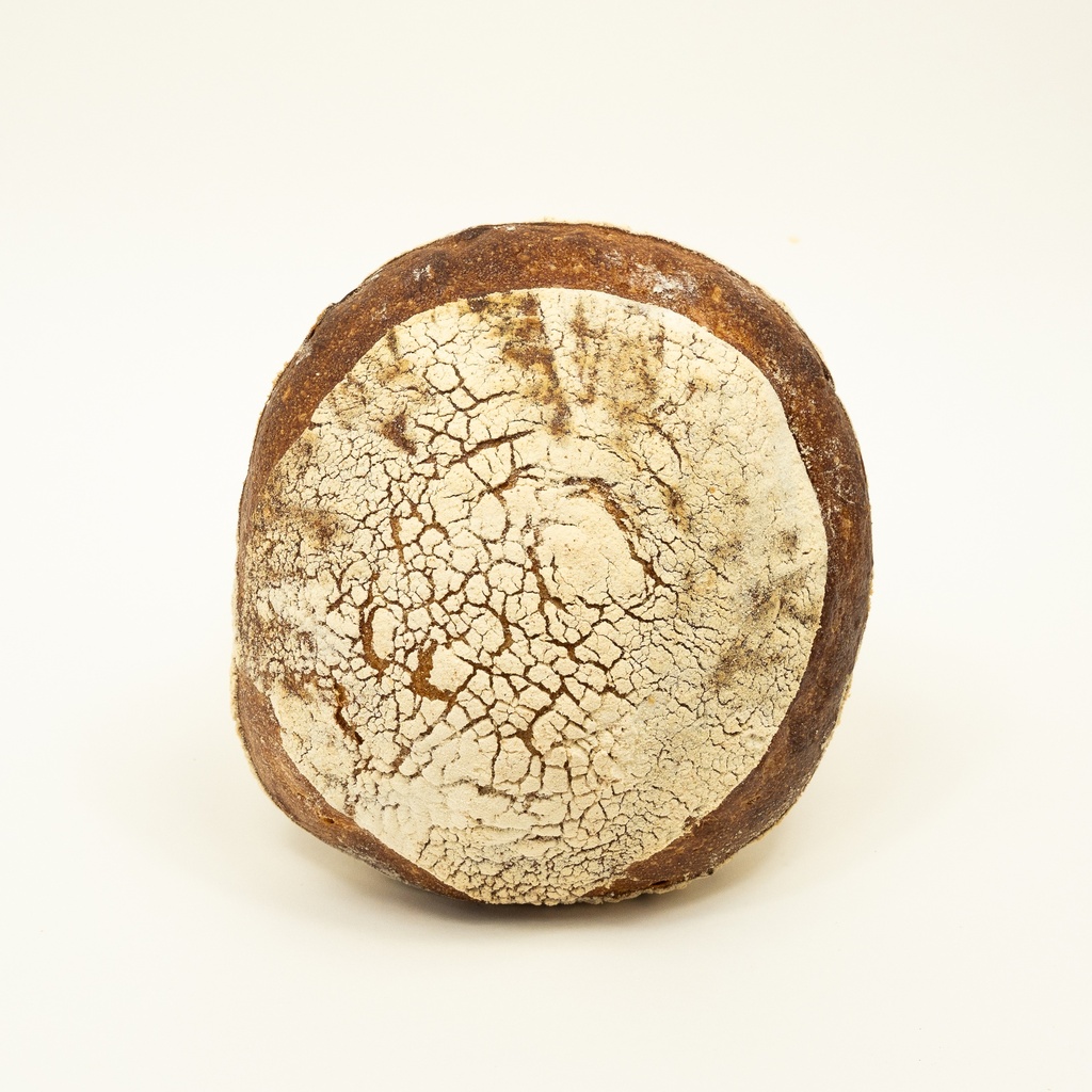 [PRE] Petit Epeautre Blanc