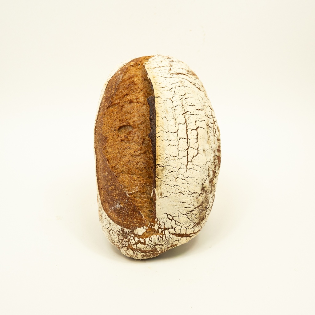 [PRE] Petit Epeautre Gris