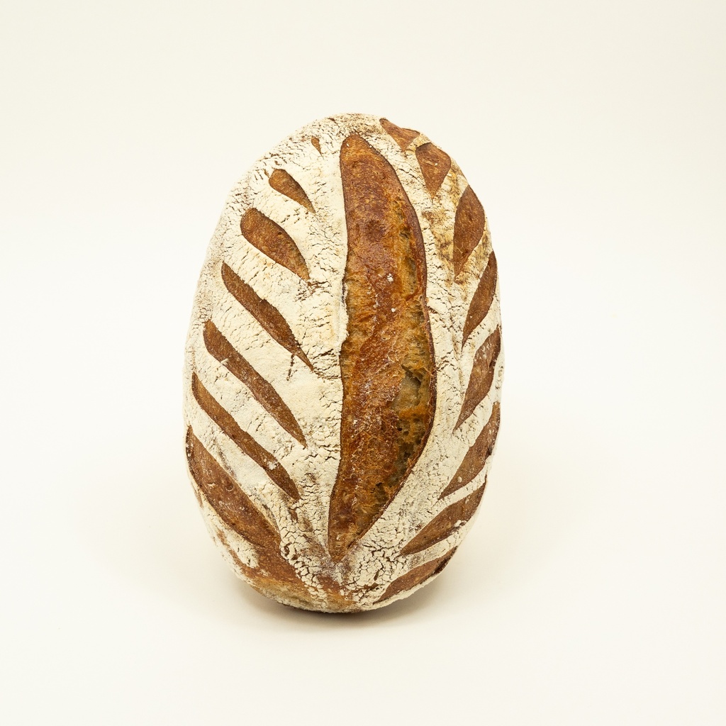 [PRE] Petit Pain CAMA